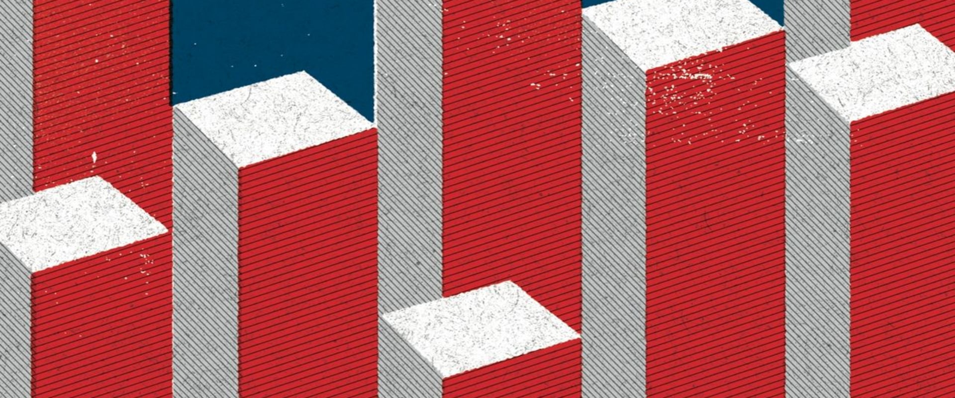 Navigating Controversial Social Issues in Northeastern Illinois: Insights from a Political Expert