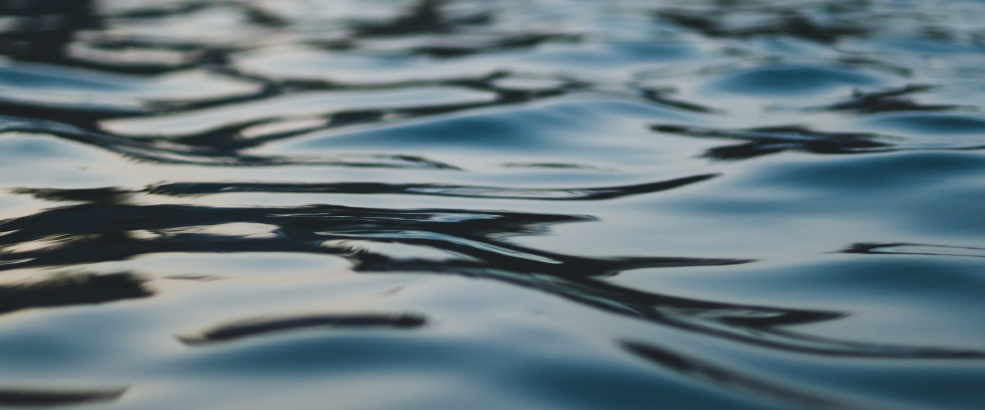 The Role of Politicians in Shaping Environmental Priorities in Northeastern Illinois