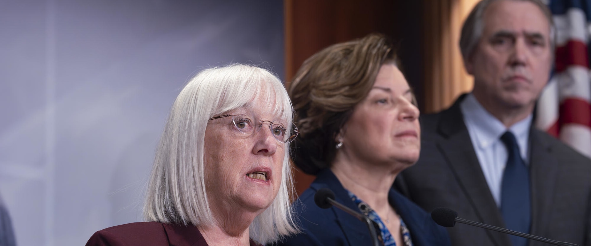 The Debate Over Term Limits for Politicians in Northeastern Illinois