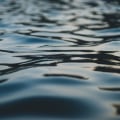 The Role of Politicians in Shaping Environmental Priorities in Northeastern Illinois