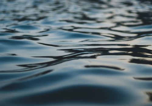 The Role of Politicians in Shaping Environmental Priorities in Northeastern Illinois