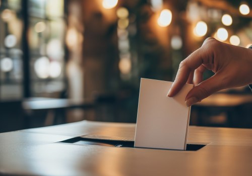 The Impact of Politicians in Northeastern Illinois on Voter Turnout: An Expert's Perspective